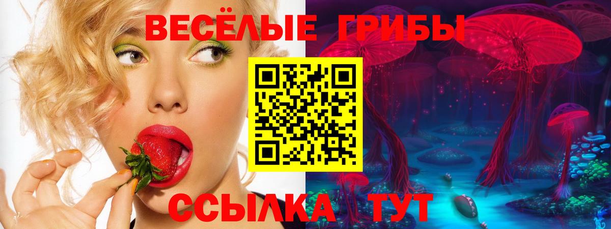 Галлюциногенные грибы ЛСД  Вход с VPN  Рубцовск  Псилоцибиновые грибы Psilocybe 